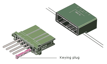 Figure 5: Keying plug to prevent misinsertion 